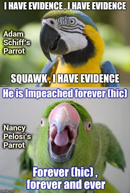 "It's Deja Vu all over again" - Yogi Berra | Adam
Schiff's
Parrot; Nancy
Pelosi's
Parrot | image tagged in upgrade go back,it'll work this time,back to the future,same stuff,different day,die hard | made w/ Imgflip meme maker