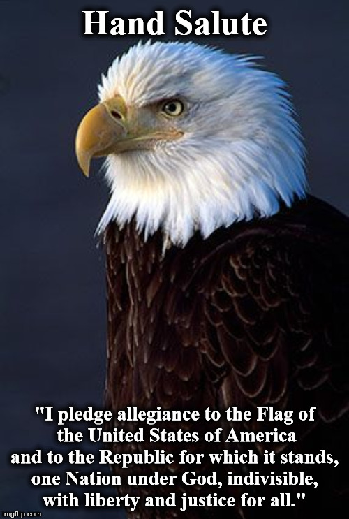 pledge | Hand Salute; "I pledge allegiance to the Flag of
 the United States of America
and to the Republic for which it stands,
 one Nation under God, indivisible, 
with liberty and justice for all." | image tagged in pledge | made w/ Imgflip meme maker
