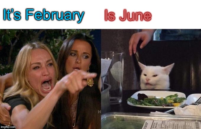 Woman Yelling At Cat Meme | It’s February Is June | image tagged in memes,woman yelling at cat | made w/ Imgflip meme maker