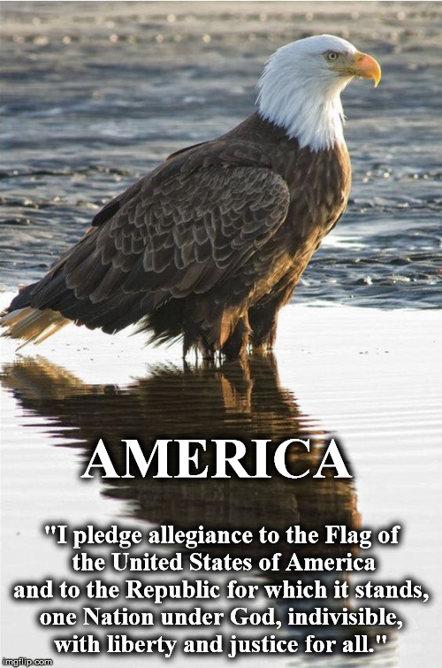 pledge1 | AMERICA; "I pledge allegiance to the Flag of
 the United States of America
and to the Republic for which it stands,
 one Nation under God, indivisible, 
with liberty and justice for all." | image tagged in pledge1 | made w/ Imgflip meme maker