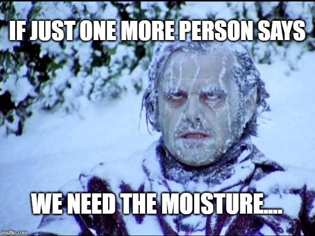 Jack Nicholson |  IF JUST ONE MORE PERSON SAYS; WE NEED THE MOISTURE.... | image tagged in jack nicholson | made w/ Imgflip meme maker