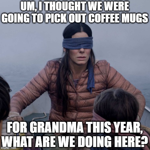 Bird Box | UM, I THOUGHT WE WERE GOING TO PICK OUT COFFEE MUGS; FOR GRANDMA THIS YEAR, WHAT ARE WE DOING HERE? | image tagged in memes,bird box | made w/ Imgflip meme maker