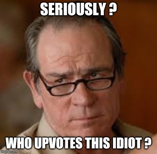 my face when someone asks a stupid question | SERIOUSLY ? WHO UPVOTES THIS IDIOT ? | image tagged in my face when someone asks a stupid question | made w/ Imgflip meme maker