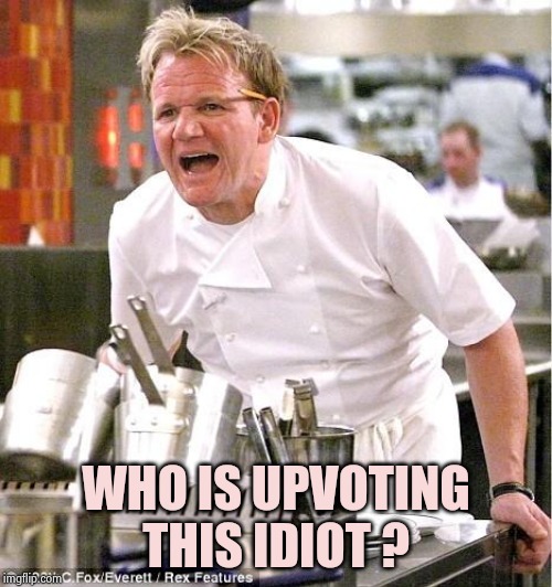 Chef Gordon Ramsay Meme | WHO IS UPVOTING THIS IDIOT ? | image tagged in memes,chef gordon ramsay | made w/ Imgflip meme maker