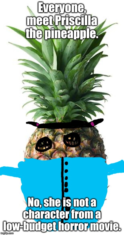 pineapple | Everyone, meet Priscilla the pineapple. No, she is not a character from a low-budget horror movie. | image tagged in pineapple | made w/ Imgflip meme maker
