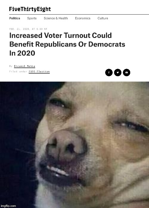 A true headline, at least... | image tagged in no shit dog,election,vote,2020,democrat,republican | made w/ Imgflip meme maker