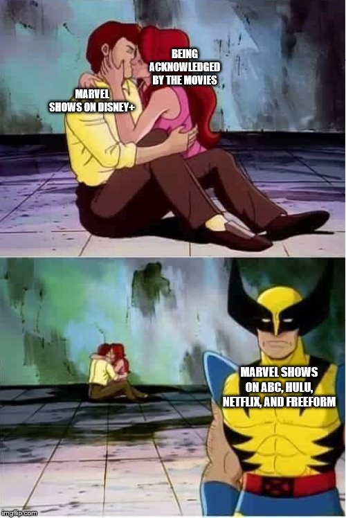 Sad wolverine left out of party | BEING ACKNOWLEDGED BY THE MOVIES; MARVEL SHOWS ON DISNEY+; MARVEL SHOWS ON ABC, HULU, NETFLIX, AND FREEFORM | image tagged in sad wolverine left out of party | made w/ Imgflip meme maker