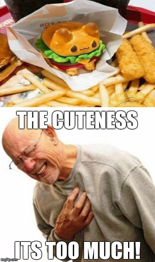 THE CUTENESS; ITS TOO MUCH! | image tagged in memes,cute,cuteness overload,food,fast food | made w/ Imgflip meme maker