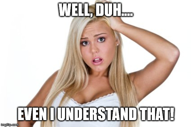 Dumb Blonde | WELL, DUH.... EVEN I UNDERSTAND THAT! | image tagged in dumb blonde | made w/ Imgflip meme maker