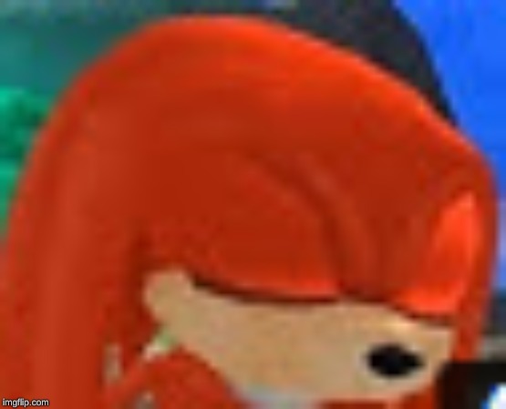 knuckles | image tagged in knuckles | made w/ Imgflip meme maker