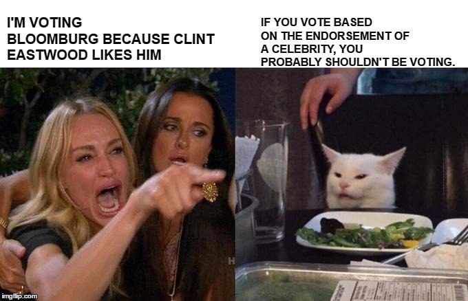 Woman Yelling At Cat Meme | I'M VOTING BLOOMBURG BECAUSE CLINT EASTWOOD LIKES HIM; IF YOU VOTE BASED ON THE ENDORSEMENT OF A CELEBRITY, YOU PROBABLY SHOULDN'T BE VOTING. | image tagged in memes,woman yelling at cat,2nd amendment,democrats,random,celebrity | made w/ Imgflip meme maker