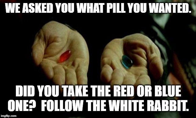 Matrix Pills | WE ASKED YOU WHAT PILL YOU WANTED. DID YOU TAKE THE RED OR BLUE ONE?  FOLLOW THE WHITE RABBIT. | image tagged in matrix pills | made w/ Imgflip meme maker