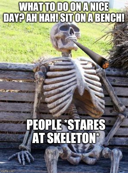 Waiting Skeleton Meme | WHAT TO DO ON A NICE DAY? AH HAH! SIT ON A BENCH! PEOPLE *STARES AT SKELETON* | image tagged in memes,waiting skeleton | made w/ Imgflip meme maker