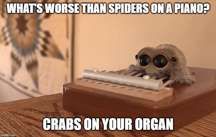 No Crustaceans! | WHAT'S WORSE THAN SPIDERS ON A PIANO? CRABS ON YOUR ORGAN | image tagged in dirty joke | made w/ Imgflip meme maker
