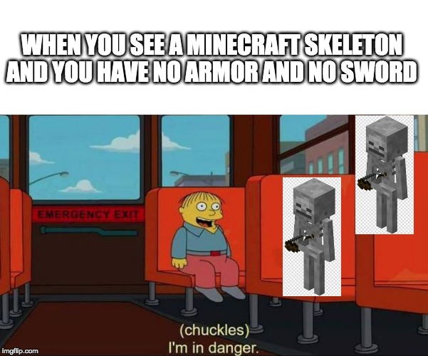 I'm in Danger + blank place above |  WHEN YOU SEE A MINECRAFT SKELETON AND YOU HAVE NO ARMOR AND NO SWORD | image tagged in i'm in danger  blank place above | made w/ Imgflip meme maker