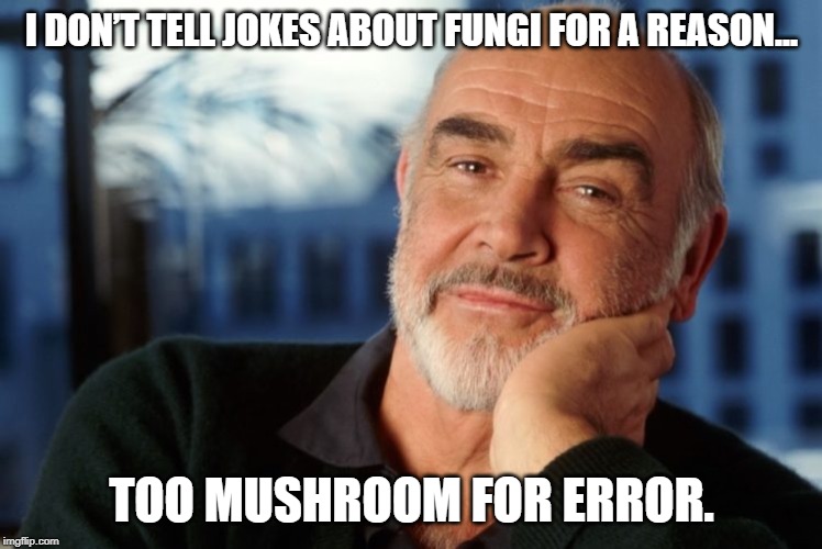 sean connery speaks | I DON’T TELL JOKES ABOUT FUNGI FOR A REASON... TOO MUSHROOM FOR ERROR. | image tagged in sean connery,fungi,bad puns | made w/ Imgflip meme maker