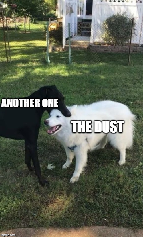 Dog eat dog | ANOTHER ONE; THE DUST | image tagged in dog bite,memes,queen | made w/ Imgflip meme maker