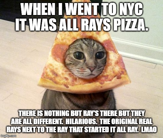 pizza cat | WHEN I WENT TO NYC IT WAS ALL RAYS PIZZA. THERE IS NOTHING BUT RAY'S THERE BUT THEY ARE ALL DIFFERENT.  HILARIOUS.  THE ORIGINAL REAL RAYS N | image tagged in pizza cat | made w/ Imgflip meme maker