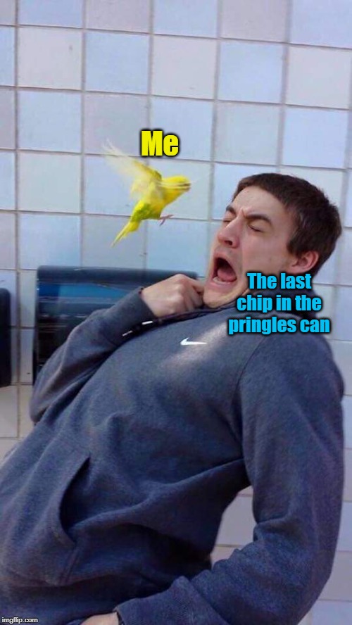 Yellow Bird's Revenge | Me; The last chip in the pringles can | image tagged in yellow bird's revenge | made w/ Imgflip meme maker