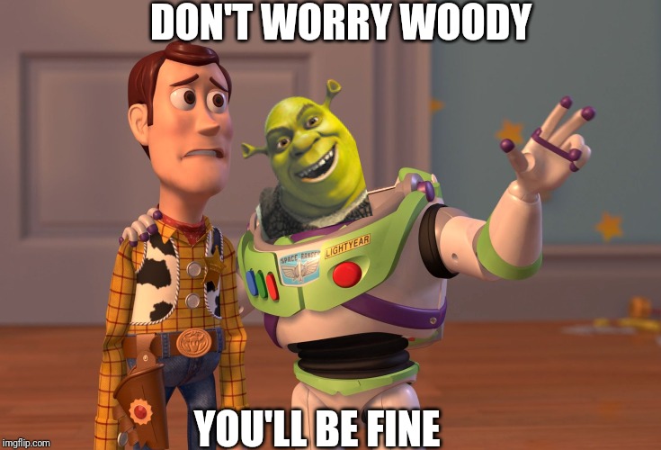 X, X Everywhere | DON'T WORRY WOODY; YOU'LL BE FINE | image tagged in memes,x x everywhere,shreck,woody | made w/ Imgflip meme maker