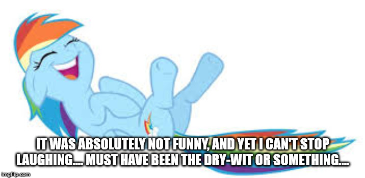 Rainbow Dash ROFL | IT WAS ABSOLUTELY NOT FUNNY, AND YET I CAN'T STOP LAUGHING.... MUST HAVE BEEN THE DRY-WIT OR SOMETHING.... | image tagged in rainbow dash rofl | made w/ Imgflip meme maker