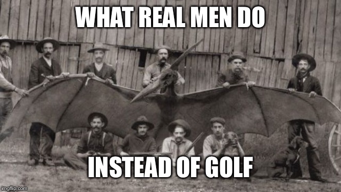 Bird | WHAT REAL MEN DO; INSTEAD OF GOLF | image tagged in bird | made w/ Imgflip meme maker