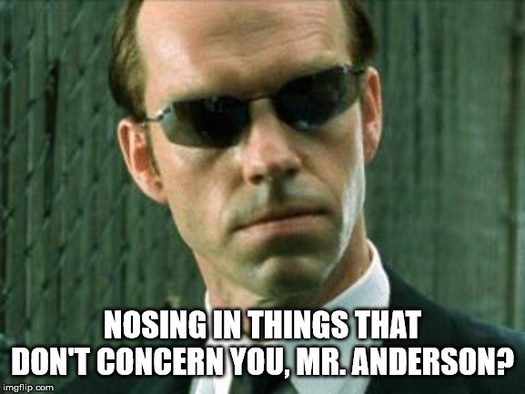Agent Smith Matrix | NOSING IN THINGS THAT DON'T CONCERN YOU, MR. ANDERSON? | image tagged in agent smith matrix | made w/ Imgflip meme maker