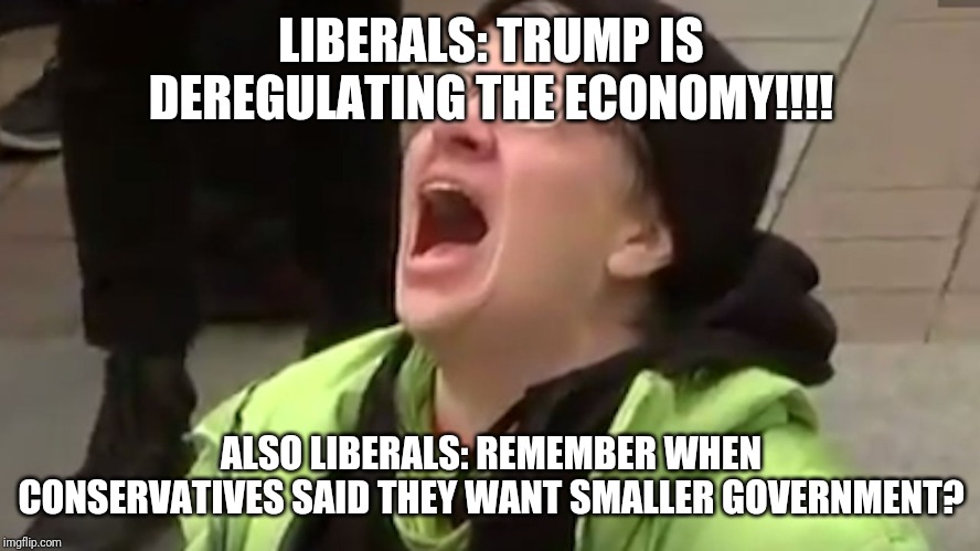 Screaming Liberal  | LIBERALS: TRUMP IS DEREGULATING THE ECONOMY!!!! ALSO LIBERALS: REMEMBER WHEN CONSERVATIVES SAID THEY WANT SMALLER GOVERNMENT? | image tagged in screaming liberal | made w/ Imgflip meme maker