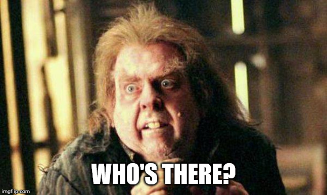 Peter Pettigrew In Fear | WHO'S THERE? | image tagged in peter pettigrew in fear | made w/ Imgflip meme maker