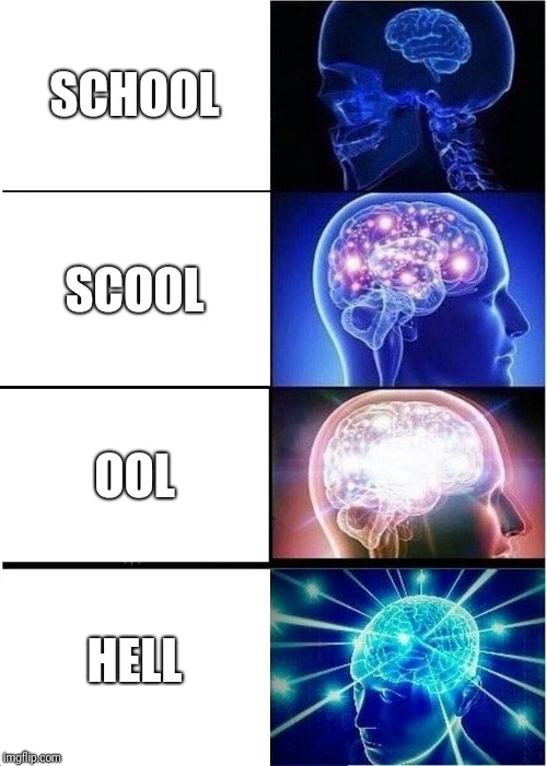 Expanding Brain Meme | SCHOOL; SCOOL; OOL; HELL | image tagged in memes,expanding brain | made w/ Imgflip meme maker