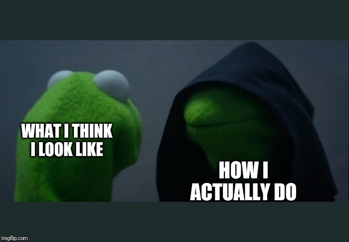 Evil Kermit Meme | WHAT I THINK I LOOK LIKE; HOW I ACTUALLY DO | image tagged in memes,evil kermit | made w/ Imgflip meme maker