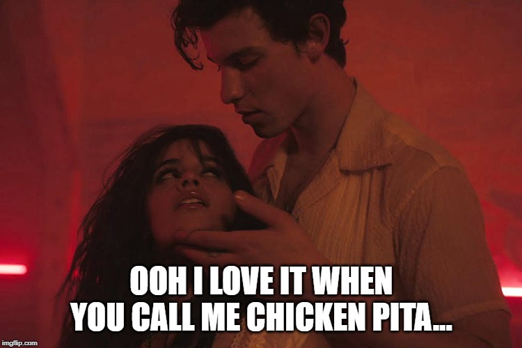 Sounds Like a Hit | OOH I LOVE IT WHEN YOU CALL ME CHICKEN PITA... | image tagged in cameila cabeillo shawn mendes | made w/ Imgflip meme maker