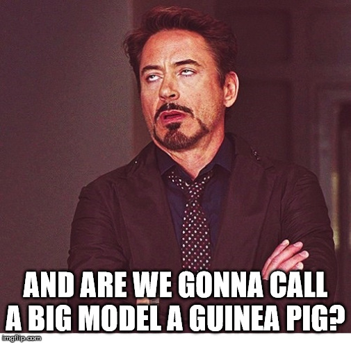 RDJ boring | AND ARE WE GONNA CALL A BIG MODEL A GUINEA PIG? | image tagged in rdj boring | made w/ Imgflip meme maker
