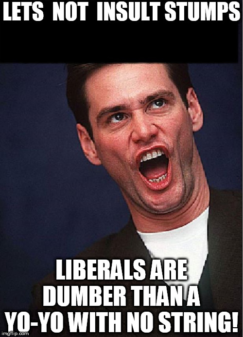 LETS  NOT  INSULT STUMPS LIBERALS ARE DUMBER THAN A YO-YO WITH NO STRING! | made w/ Imgflip meme maker