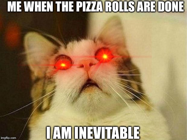 Scared Cat Meme | ME WHEN THE PIZZA ROLLS ARE DONE; I AM INEVITABLE | image tagged in memes,scared cat | made w/ Imgflip meme maker