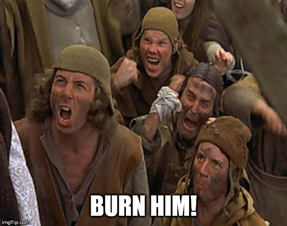 burn him | BURN HIM! | image tagged in burn him | made w/ Imgflip meme maker