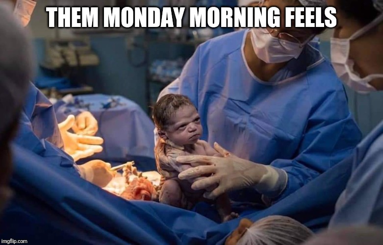 THEM MONDAY MORNING FEELS | image tagged in monday mornings,monday face,i hate mondays | made w/ Imgflip meme maker