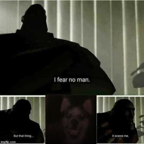 FREAKY DOG | image tagged in i fear no man,scary,scary dog,creepypasta,creepypasta smile dog,creepy smile | made w/ Imgflip meme maker