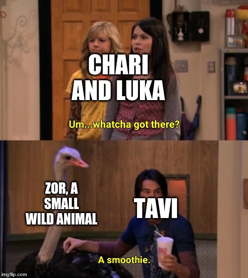 Whatcha Got There? |  CHARI AND LUKA; ZOR, A SMALL WILD ANIMAL; TAVI | image tagged in whatcha got there | made w/ Imgflip meme maker