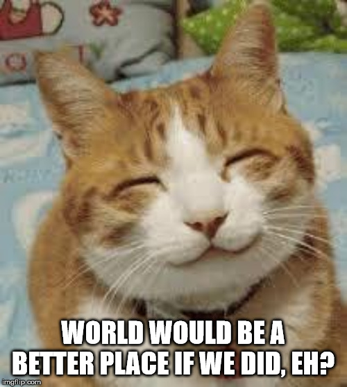 Happy cat | WORLD WOULD BE A BETTER PLACE IF WE DID, EH? | image tagged in happy cat | made w/ Imgflip meme maker
