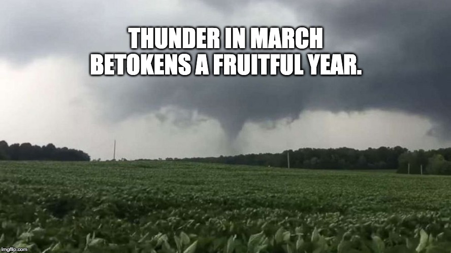 THUNDER IN MARCH BETOKENS A FRUITFUL YEAR. | image tagged in farm,farmers,weather lore | made w/ Imgflip meme maker