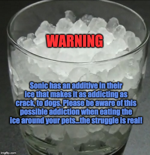 WARNING; Sonic has an additive in their ice that makes it as addicting as crack, to dogs. Please be aware of this possible addiction when eating the ice around your pets...the struggle is real! | image tagged in ice,puppets | made w/ Imgflip meme maker