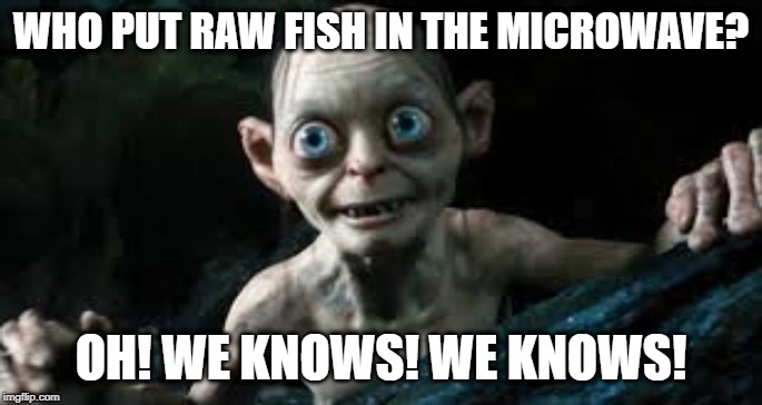We Knows! We Knows!!! | WHO PUT RAW FISH IN THE MICROWAVE? OH! WE KNOWS! WE KNOWS! | image tagged in we knows we knows | made w/ Imgflip meme maker