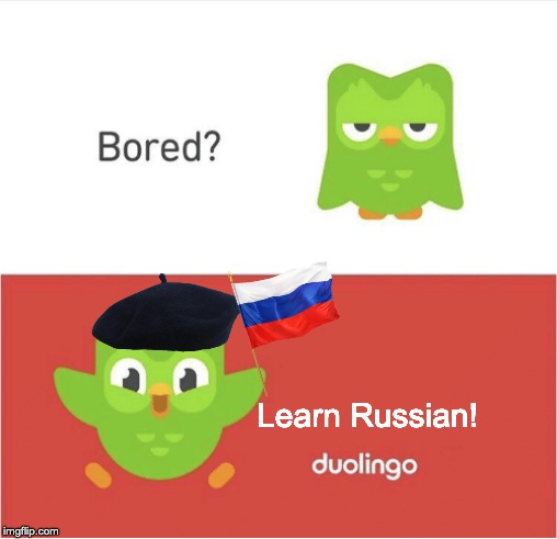 Russian Duolingo | Learn Russian! | image tagged in duolingo bored | made w/ Imgflip meme maker