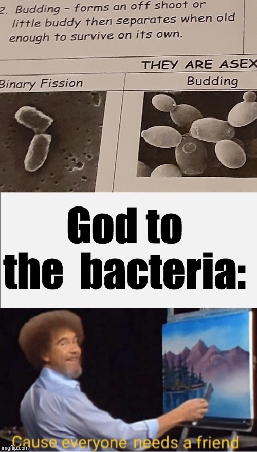 God to the  bacteria: | made w/ Imgflip meme maker