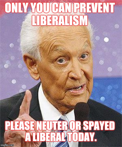 Bob Barker | ONLY YOU CAN PREVENT 
LIBERALISM; PLEASE NEUTER OR SPAYED 
A LIBERAL TODAY. | image tagged in bob barker | made w/ Imgflip meme maker