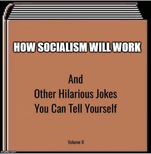Takes away freedoms/choices among many other problems it causes. | HOW SOCIALISM WILL WORK | image tagged in and other hilarious jokes you can tell yourself,stupid liberals,socialism | made w/ Imgflip meme maker