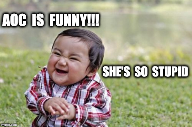 aoc | AOC  IS  FUNNY!!! SHE'S  SO  STUPID | image tagged in memes,evil toddler,aoc,democratic socialism,socialism | made w/ Imgflip meme maker