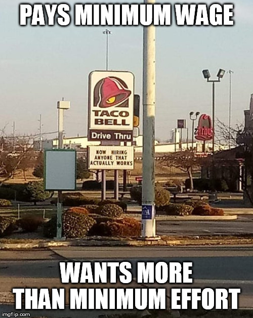 We have a minimum wage because they'd pay nothing if they could.  Time to pay more I guess. Supply/Demand. | PAYS MINIMUM WAGE; WANTS MORE THAN MINIMUM EFFORT | image tagged in minimum wage,taco bell | made w/ Imgflip meme maker