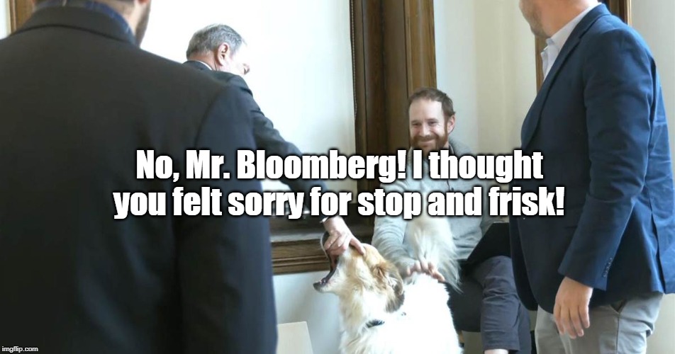 Stop and Frisk Doggystyle | No, Mr. Bloomberg! I thought you felt sorry for stop and frisk! | image tagged in bloomberg dog shake,stop and frisk,michael bloomberg,bloomberg,mike bloomberg,democratic primaries | made w/ Imgflip meme maker